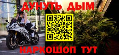прущие грибы Кингисепп