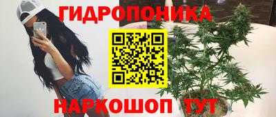 прущие грибы Кингисепп