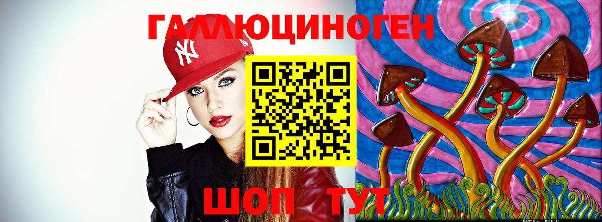 Псилоцибиновые грибы Cubensis  Псилоцибиновые грибы Psilocybine cubensis  Бутурлиновка 