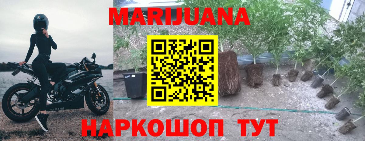 Каннабис Ganja  Вход с VPN  Бошки Шишки SATIVA & INDICA  Конопля планчик  Бутурлиновка 